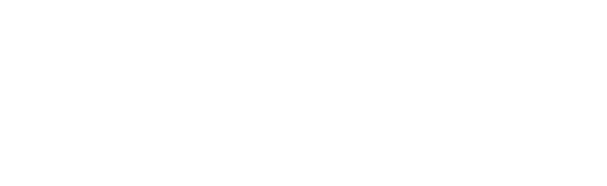 NEW BRAND