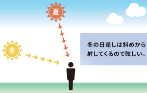 画像1 冬の日差しは斜めから射してくるので眩しい